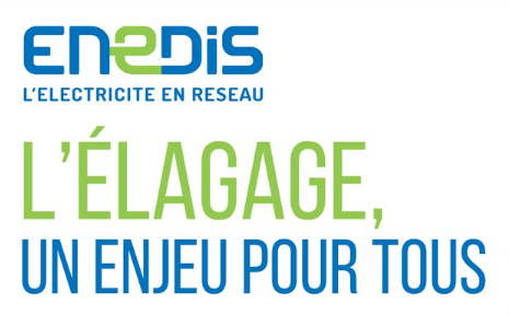 Icone Enedis elagage arbres